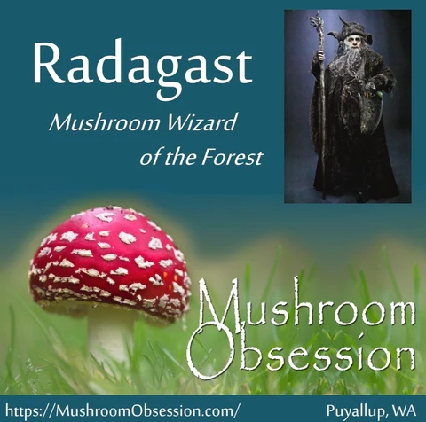 Introducing Radagast, Mushroom Wizard of the Forest!